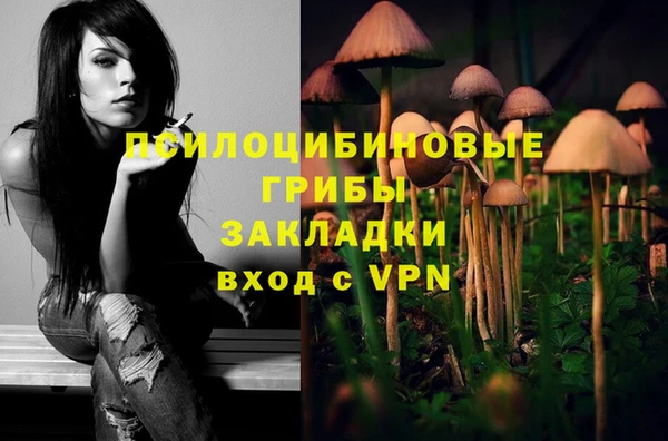 не бодяженный Алексин