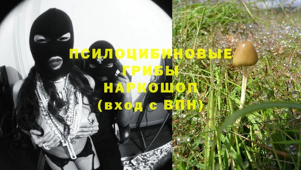 спайс Алексеевка