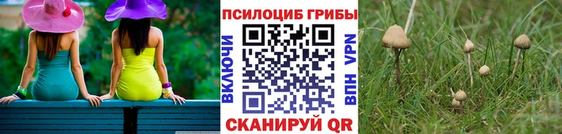 Псилоцибиновые грибы ЛСД  Геленджик 