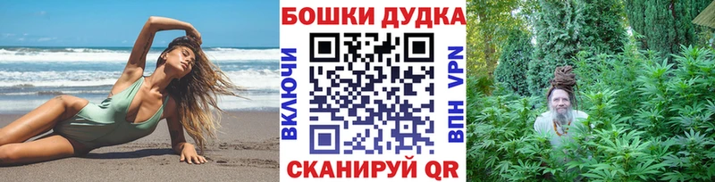 Канабис планчик гидра Геленджик